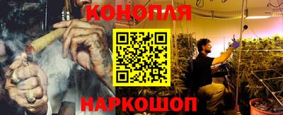тгк Камышлов