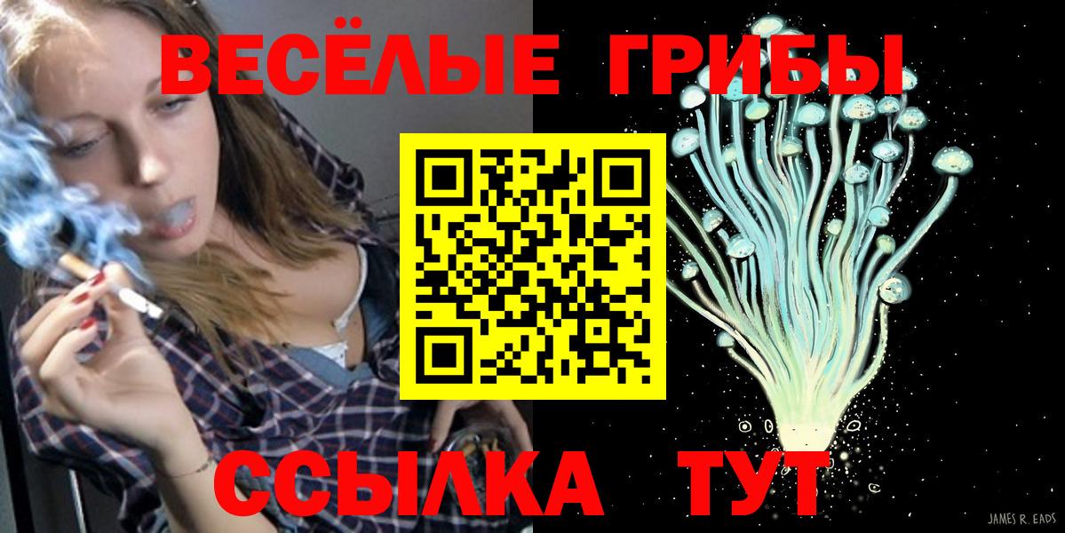 Псилоцибиновые грибы MAGIC MUSHROOMS  Вход с VPN  Ликино-Дулёво 